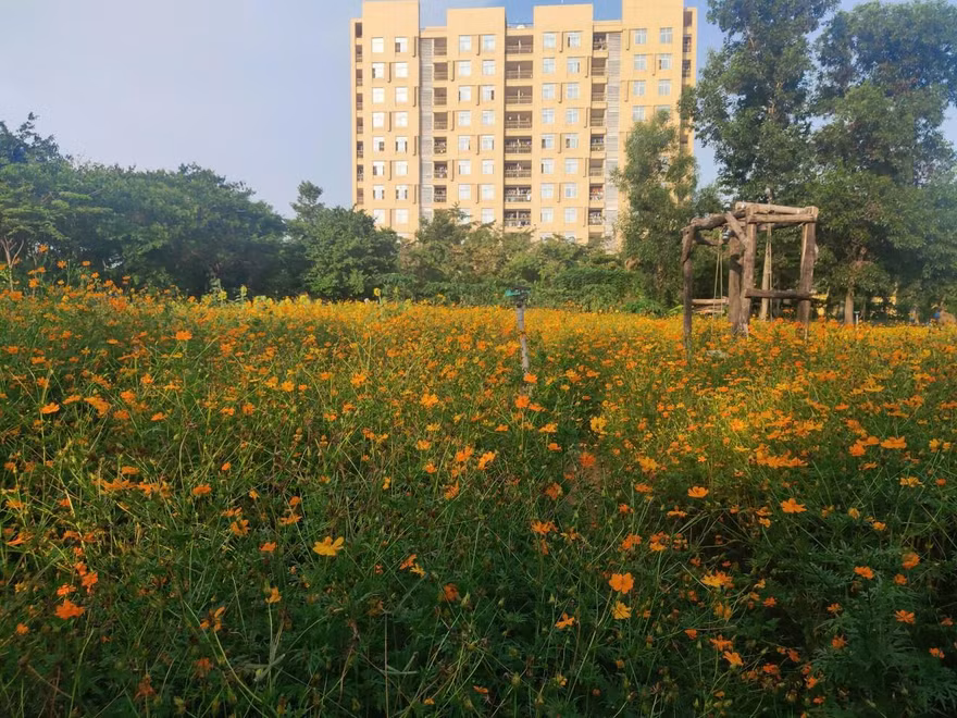 Khuôn viên trường đại học thơ mộng như những thước phim