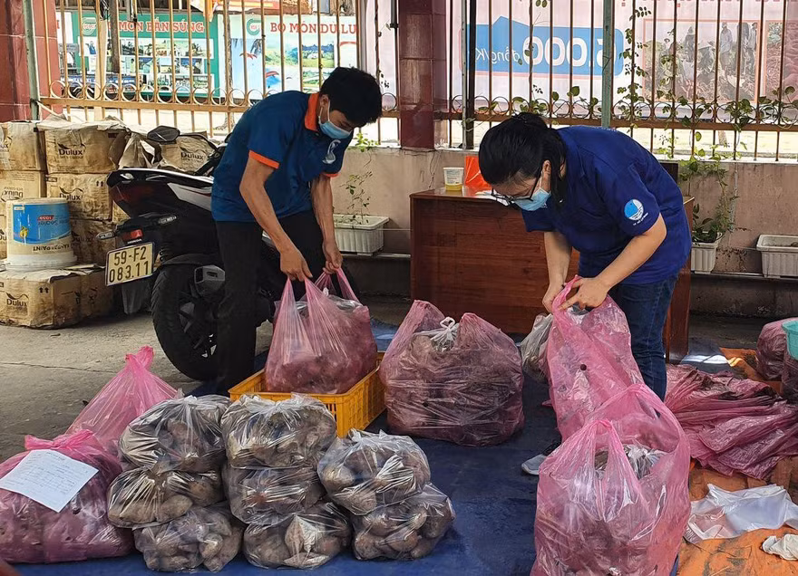 TP. HCM: Bạn trẻ hỗ trợ tiêu thụ khoai lang tím giúp nông dân miền Tây