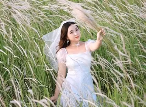 Giới trẻ TP. HCM mê mẩn với đồng cỏ lau 
