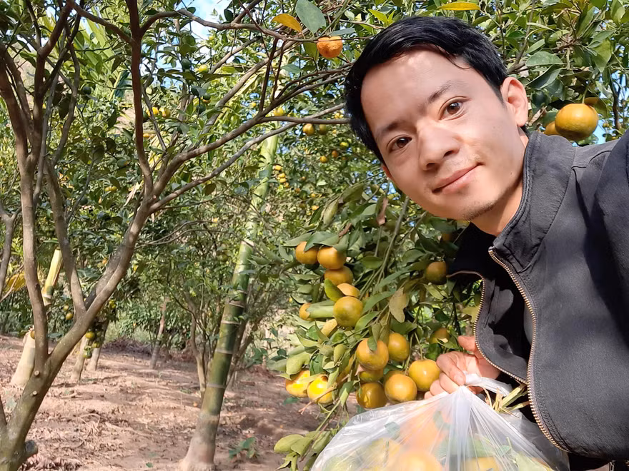 Lan toả tình yêu thiên nhiên bằng các dự án phát triển rừng bền vững