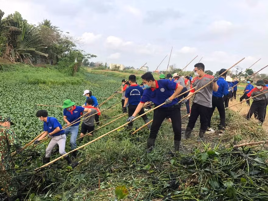 Gần 1.000 sinh viên hưởng ứng chương trình “Ngày Chủ Nhật Xanh”