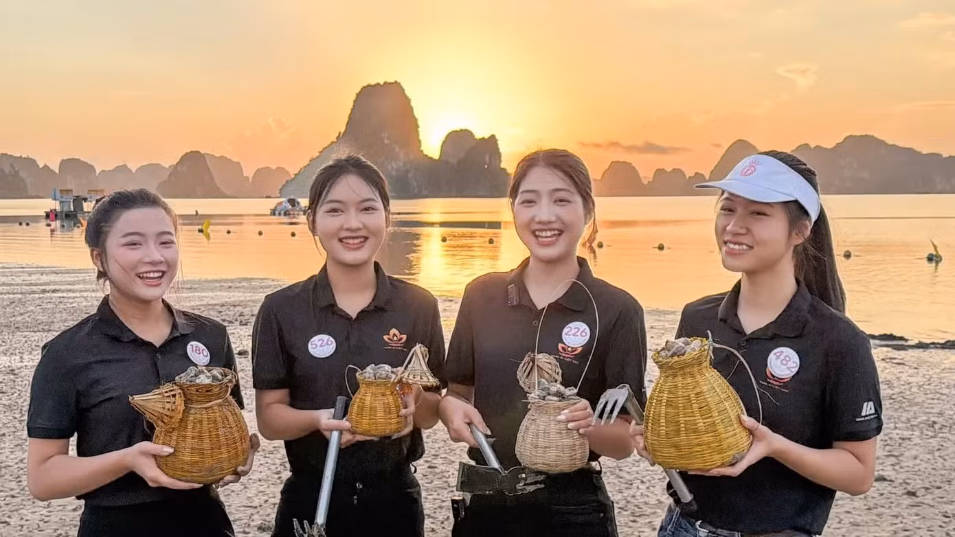 cao-ngao1.jpg