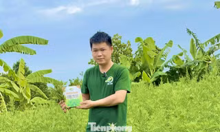 Một mô hình khởi nghiệp giảm nghèo bền vững, làm giàu tiêu biểu của thanh niên tỉnh Bắc Ninh.