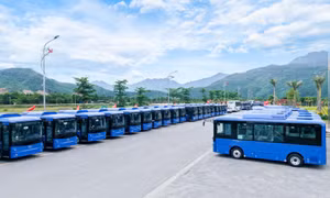 Thêm hơn 440 xe buýt điện sắp lăn bánh tại TPHCM 