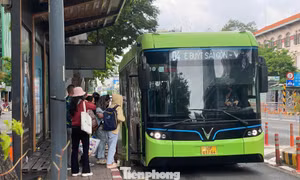 TPHCM: Thay đổi lịch hoạt động, miễn phí vé nhiều tuyến buýt dịp Tết Bính Ngọ