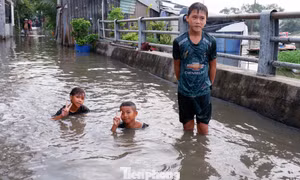 Triều cường dâng cao, trẻ em TPHCM thỏa thích bơi lội trên đường phố 
