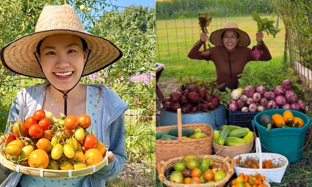 Nữ 9X Đà Nẵng trồng vườn rau Việt 100m² giữa nước Mỹ để giữ hương vị quê nhà