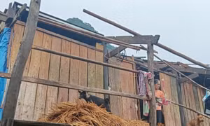 Mưa kèm gió lốc, làm tốc mái nhiều nhà dân ở Cao Bằng 