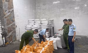 Quản lý thị trường Hà Nội triển khai cao điểm xử lý xâm phạm quyền sở hữu trí tuệ