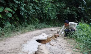Di dời người dân ra khỏi khu vực xuất hiện sạt lở ở Lạng Sơn
