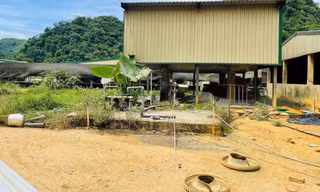 Bộ Nội vụ đề nghị làm rõ trách nhiệm vụ 5 người tử vong tại trại nuôi lợn DABACO Thanh Hóa