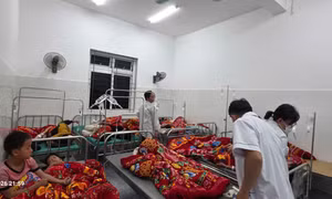 Lai Châu: Hơn 200 học sinh ngộ độc nghi do ăn quả lạ 