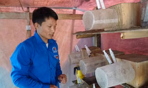Những thanh niên “liều lĩnh” nuôi ong đất thành công ở vùng cao Lào Cai.