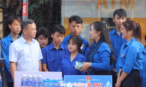 Thanh niên Tuyên Quang chung tay hỗ trợ Lễ hội Hoa Tam giác mạch