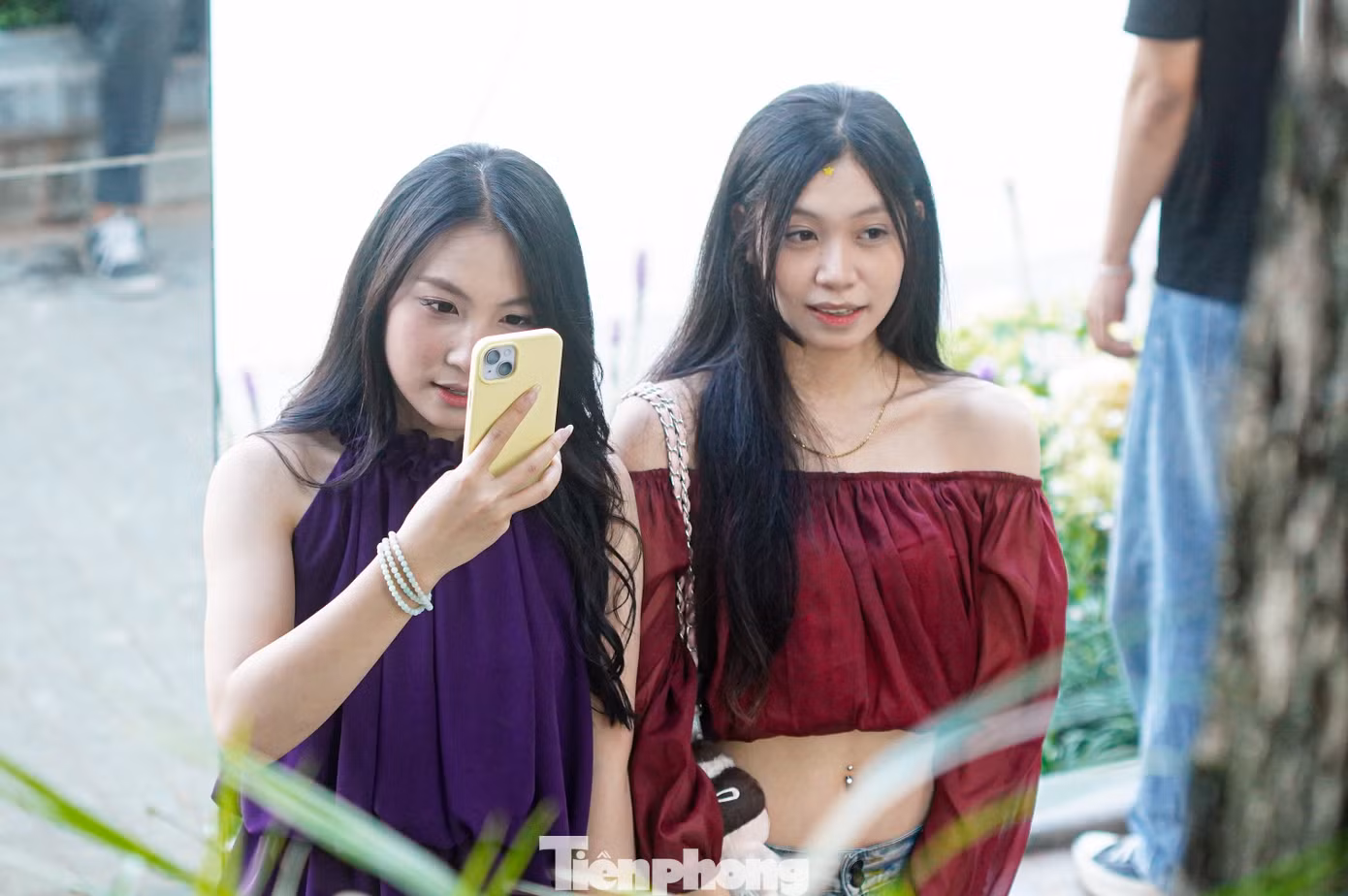 tp-cau-guong-anh-6390.jpg