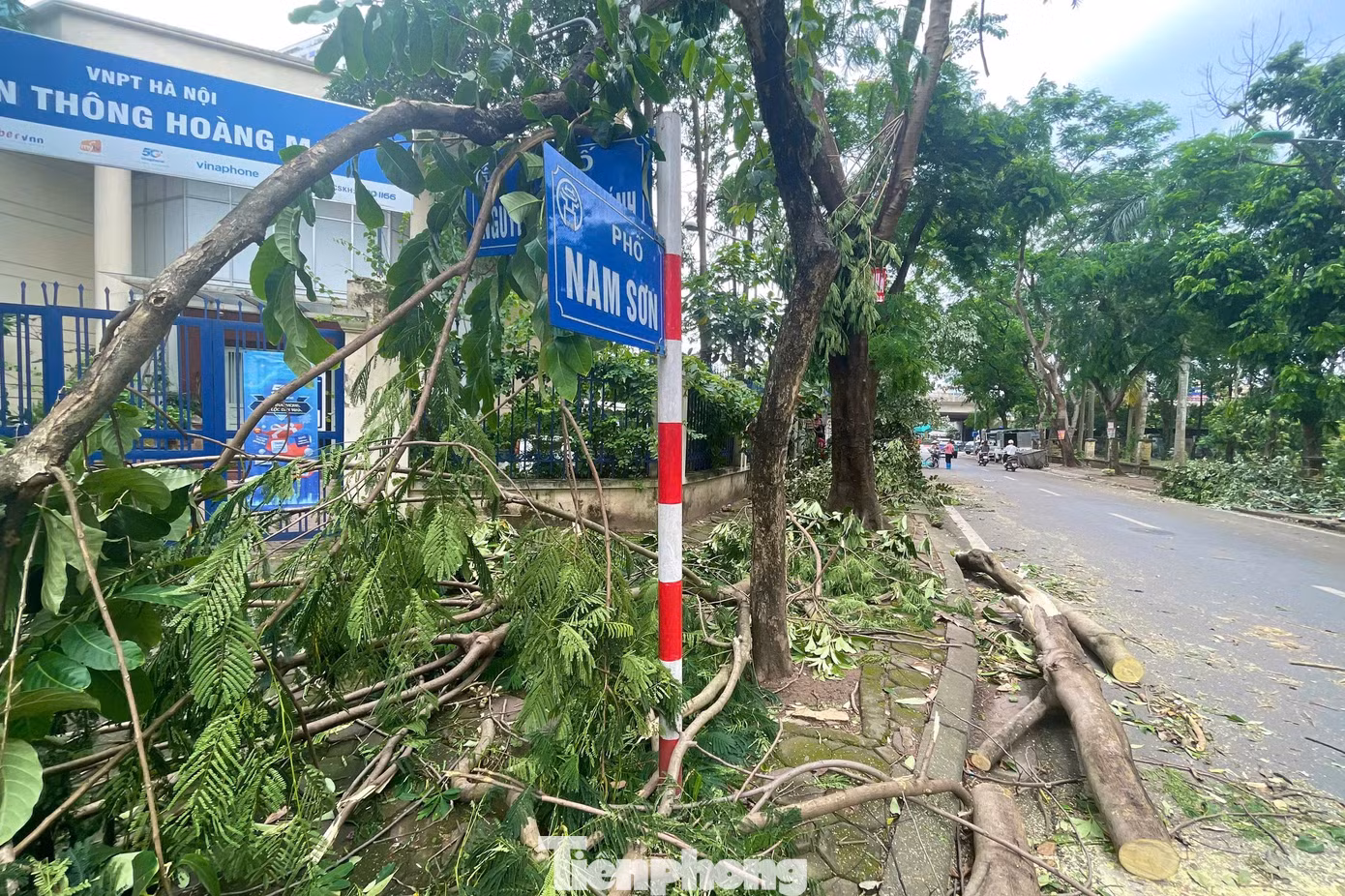 tp-cay-do-anh-48.jpg
