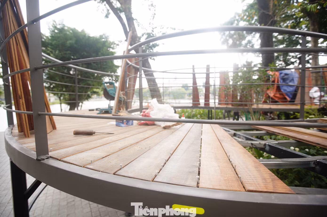 tp-c_dua09063.jpg