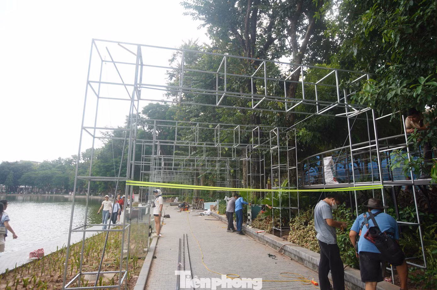 tp-c_dua09095.jpg