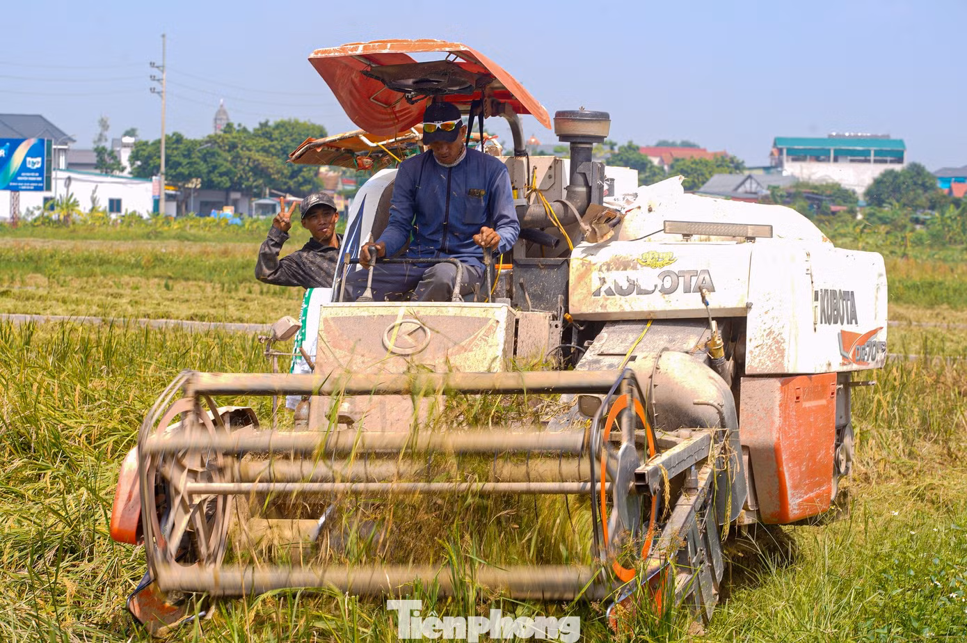 tp-lua-chay-bao-anh-5.jpg