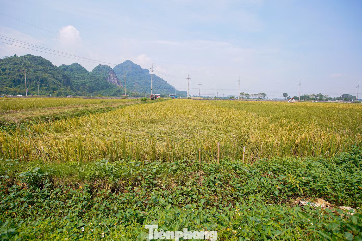 tp-lua-chay-bao-anh-2.jpg