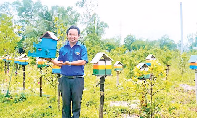 Anh Nguyễn Trung Thành với mô hình “Nuôi và khai thác mật ong dú trong vườn cây ăn trái kết hợp trồng cây thảo dược”