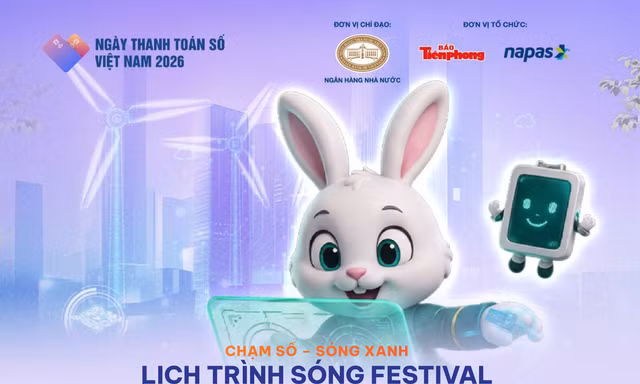 Lịch trình hoạt động Sóng Festival
