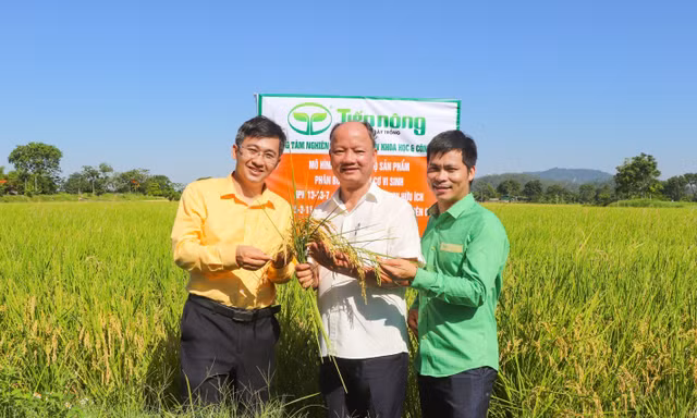 Khát vọng lớn từ những cánh đồng