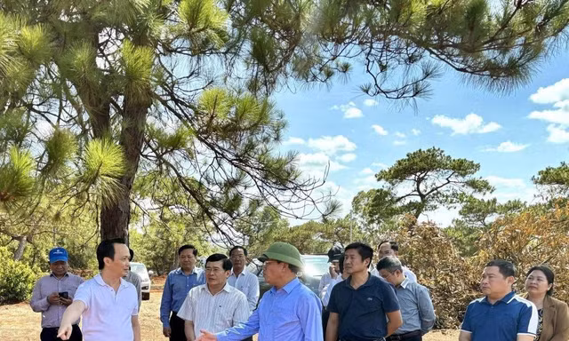 "Điểm đến chiến lược" của nhà đầu tư