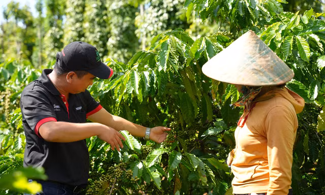 Nâng cấp chuỗi giá trị: Động lực tăng trưởng, kiến tạo lợi thế cạnh tranh cho Việt Nam 