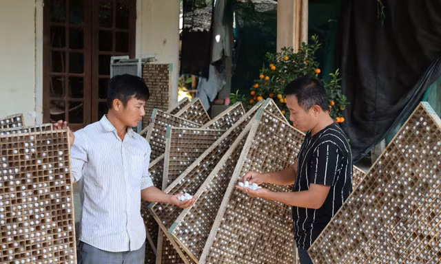 Khát vọng hồi sinh nghề xưa của người trẻ Quảng Ngãi 