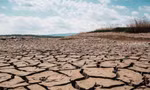 Tổ chức Khí tượng Thế giới cảnh báo về El Nino 