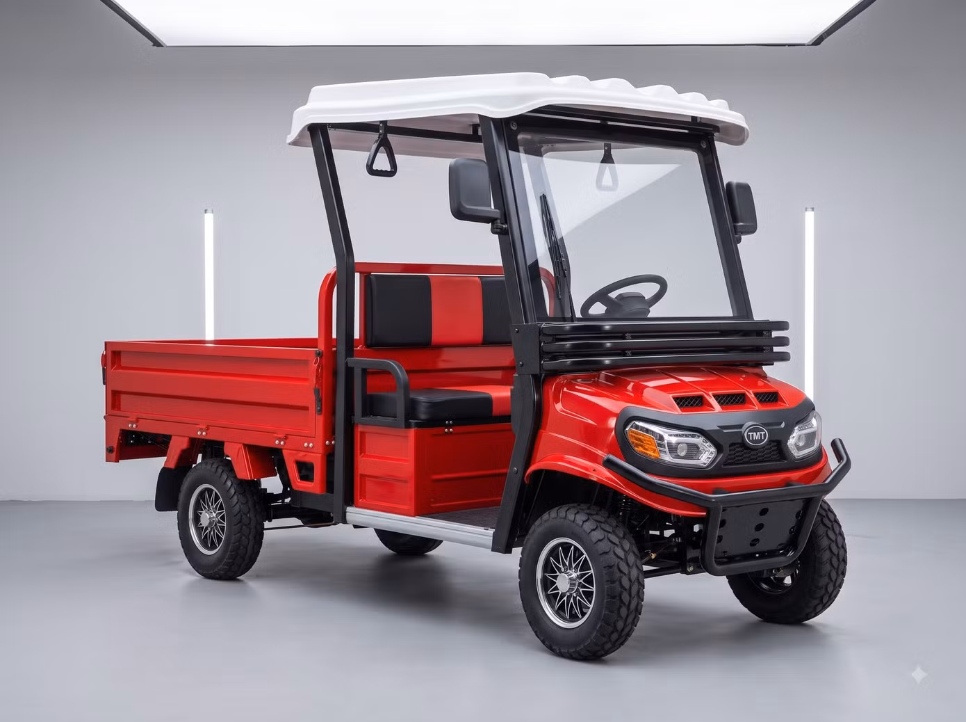 TMT dự kiến ra mắt các mẫu xe điện 4 bánh tốc độ thấp. Ảnh: TMT.