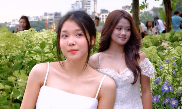 Không chỉ cẩm tú cầu xanh gây sốt, giới trẻ mê đắm Hồ Gươm mỗi mùa "thay hoa"