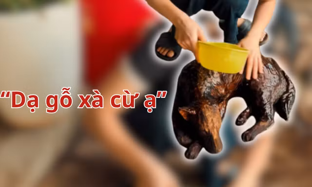 Câu "Dạ gỗ xà cừ ạ" là gì, bắt nguồn từ đâu mà khiến dân mạng cười ngất?