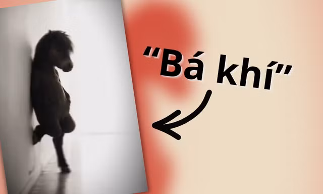 "Bá khí" là gì, có nguồn gốc từ đâu mà thành meme phủ sóng khắp mạng xã hội?