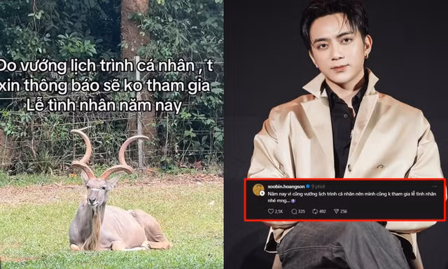 Rộ "văn mẫu" né ngày Valentine mới từ hội độc thân, đến SOOBIN cũng tham gia