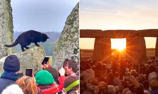 Mèo đen xuất hiện ở vòng tròn đá cổ Stonehenge đúng bình minh ngày Đông Chí