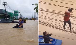 Lũ lụt nghiêm trọng ở Thái Lan: Đi cứu chồng của bạn, phát hiện sự thật phũ phàng