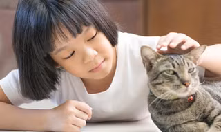 Vết mèo cào dù nhỏ hoặc không chảy máu vẫn cần được đánh giá nguy cơ bệnh dại.