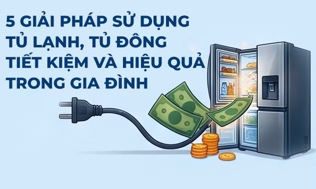 5 giải pháp sử dụng tủ lạnh, tủ đông tiết kiệm và hiệu quả trong gia đình