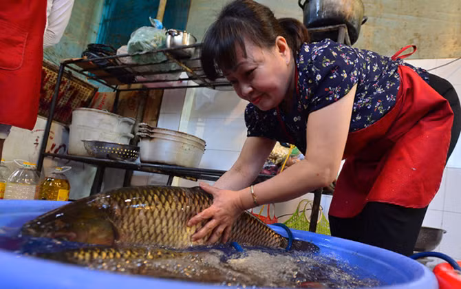 Khám phá Cá kho phố cổ của người Hà thành
