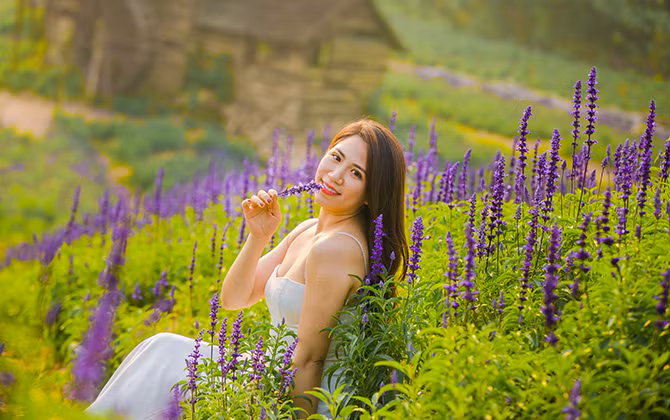 Giới trẻ chết mê với cánh đồng hoa Nữ hoàng xanh tại Hà Nội