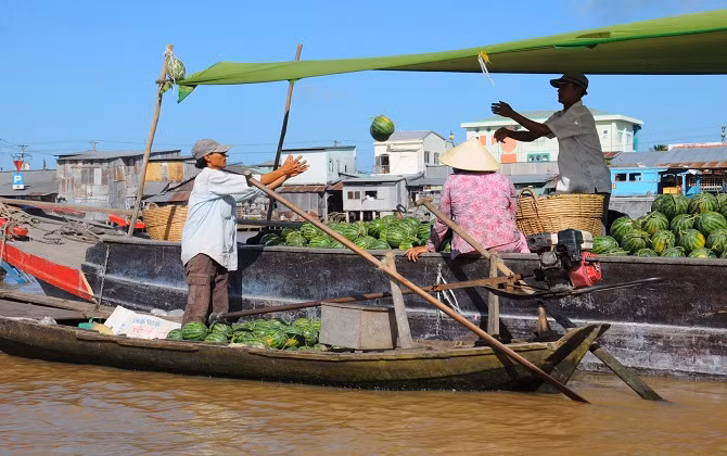 Một lần trải nghiệm miệt vườn sông nước Cần Thơ