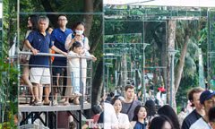 Nườm nượp khách đến Hồ Hoàn Kiếm trải nghiệm cầu dải lụa, khung gương ngày đầu mở cửa