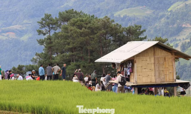 Du khách nườm nượp check-in Mù Cang Chải 