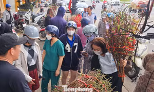 Đà Nẵng: Hoa Tết đắt hàng trên 'chợ mạng'
