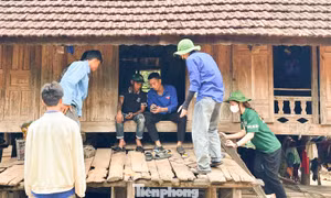 Thanh niên Đà Nẵng ghi dấu tình nguyện nơi vùng xa, vùng khó 