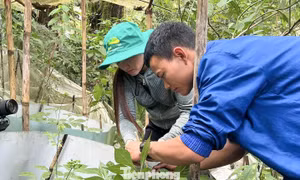 Thanh niên Đà Nẵng hiến kế gỡ khó vốn khởi nghiệp, lập nghiệp