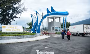 Cảng cá lớn nhất Đà Nẵng 'hạ nhiệt' ô nhiễm sau 5 năm xử lý