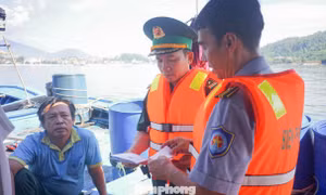 Đà Nẵng triển khai cao điểm chống khai thác IUU, gỡ 'thẻ vàng' thủy sản